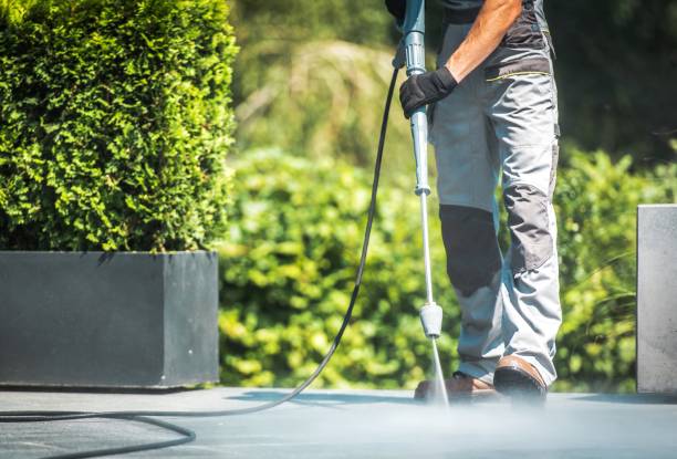 Best Driveway Pressure Washing  in Raceland, KY